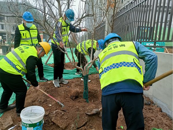 1656381106575679.jpg 05.jpg